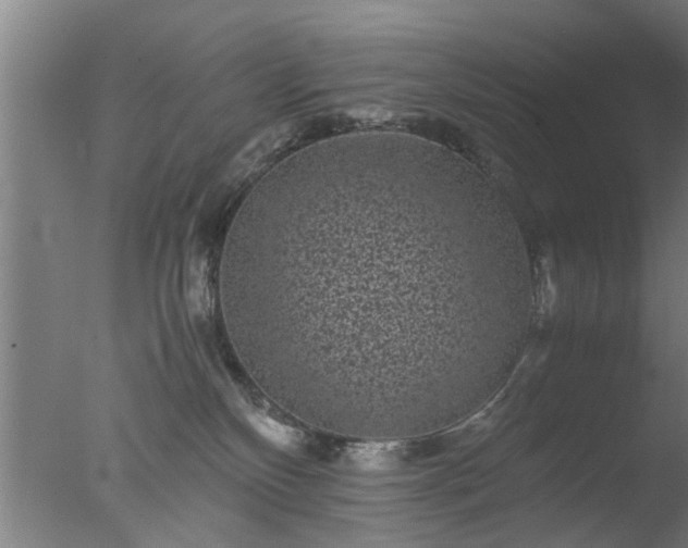 X0000077390136200610272022