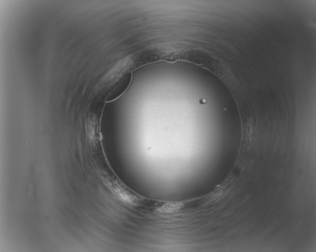 X0000077390138200610272022