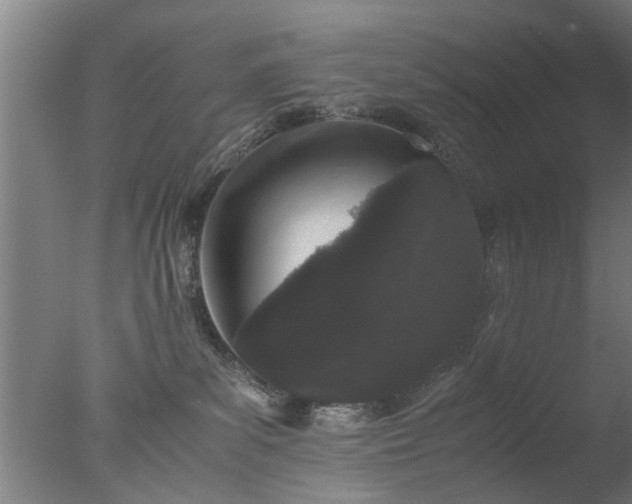 X0000077390139200610272022