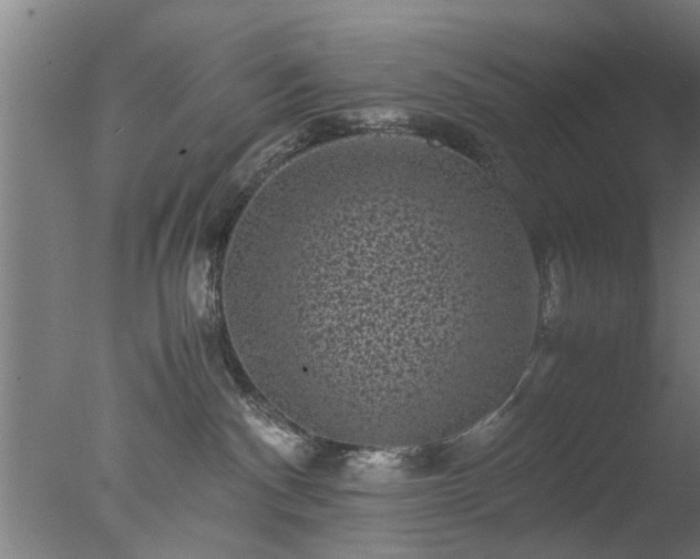 X0000077390140200610272022