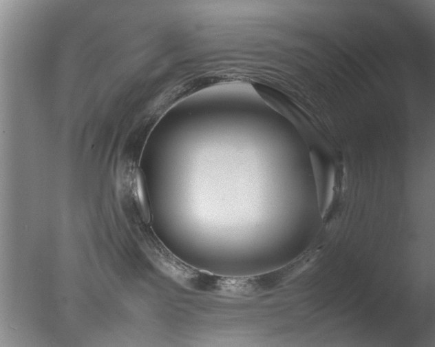 X0000077390141200610272022