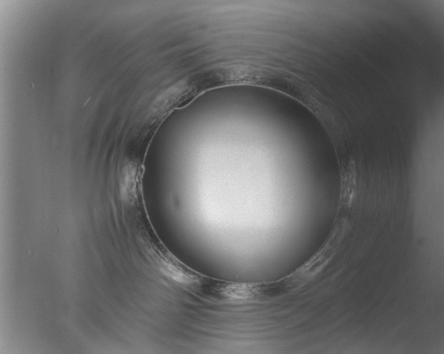 X0000077390142200610272022