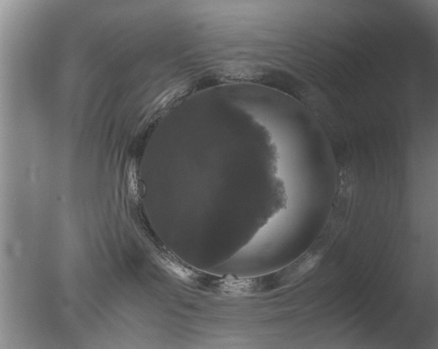 X0000077390143200610272022