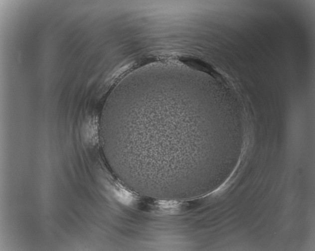 X0000077390144200610272022