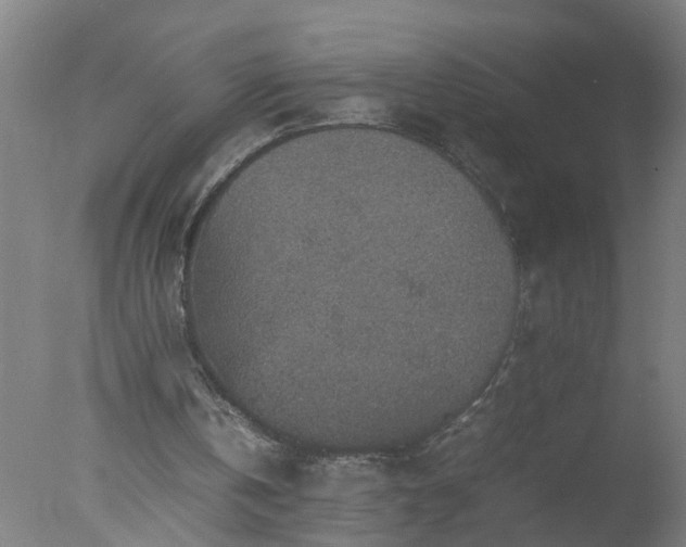 X0000077390146200610272022