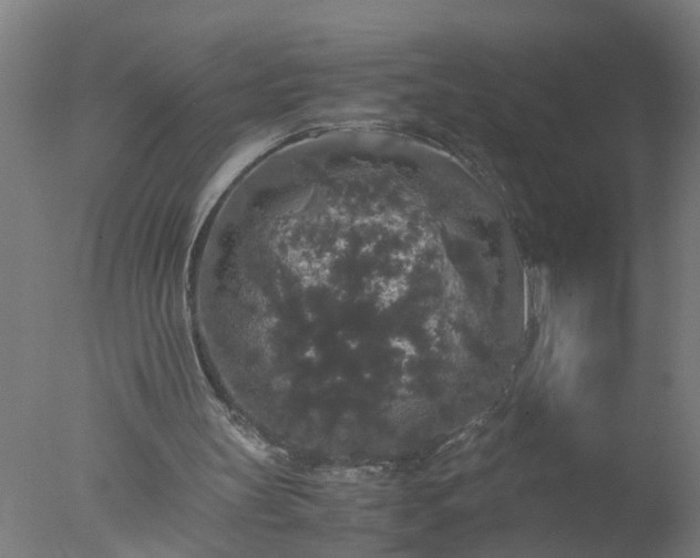 X0000077390147200610272022