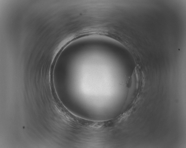 X0000077390148200610272022