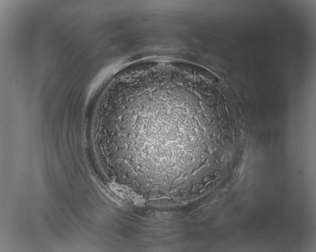 X0000077390149200610272022