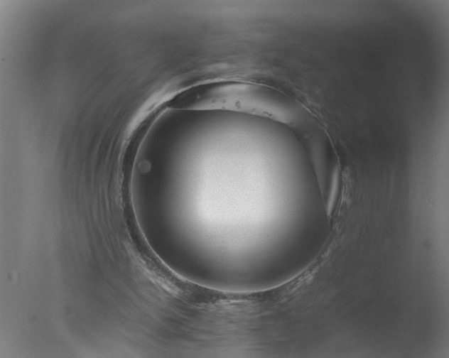 X0000077390150200610272022