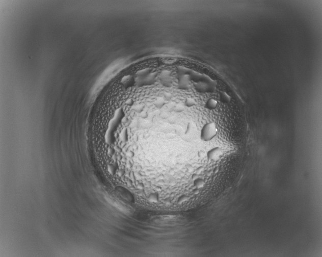 X0000077390151200610272022