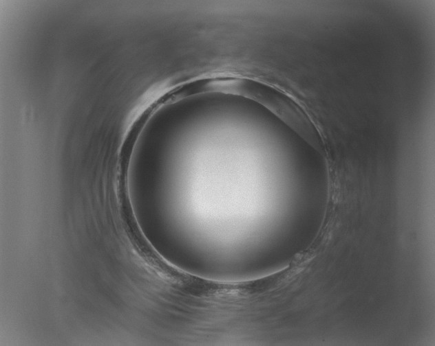 X0000077390152200610272022