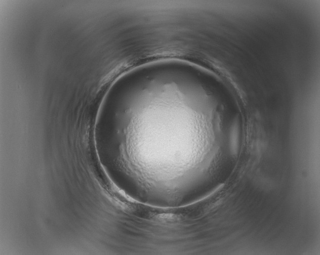 X0000077390153200610272022