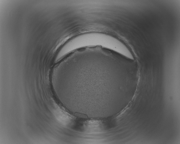 X0000077390154200610272022