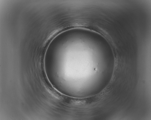 X0000077390155200610272022