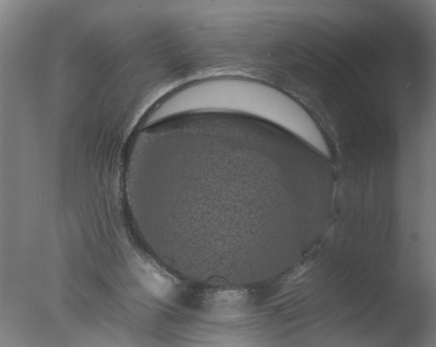 X0000077390156200610272022