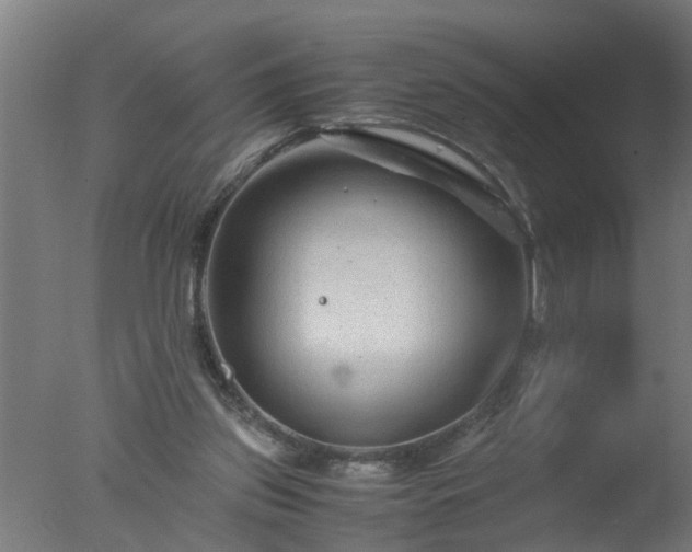 X0000077390157200610272022