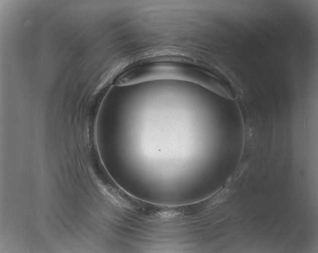 X0000077390158200610272022