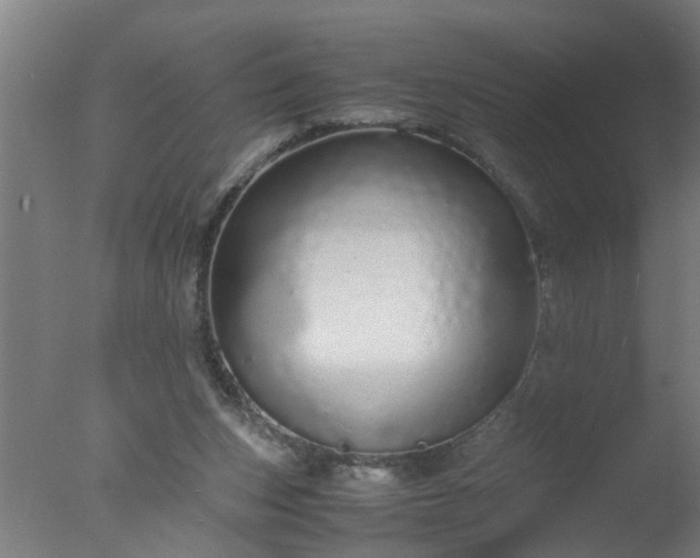 X0000077390159200610272022