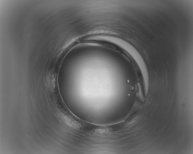 X0000077390160200610272022