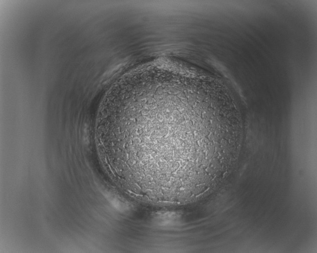 X0000077390161200610272022