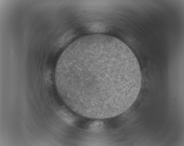 X0000077390162200610272022