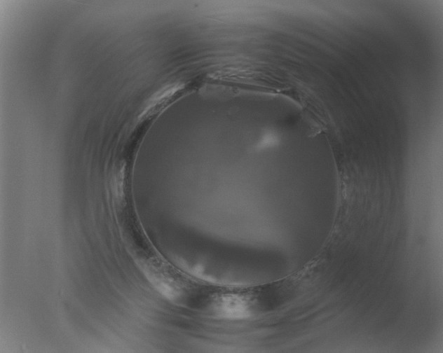 X0000077390163200610272022