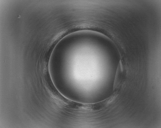 X0000077390164200610272022