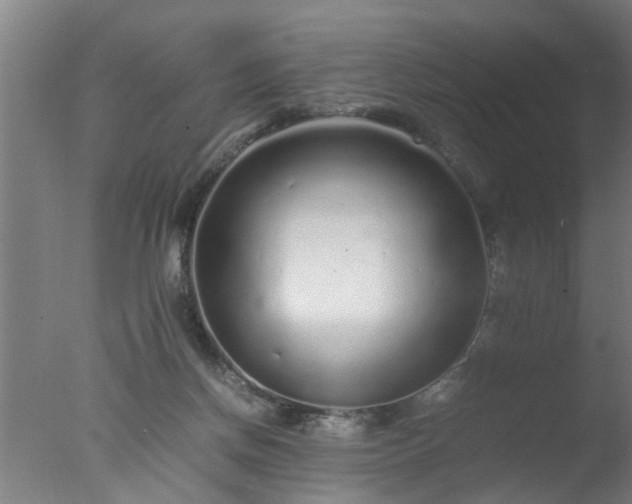 X0000077390166200610272022