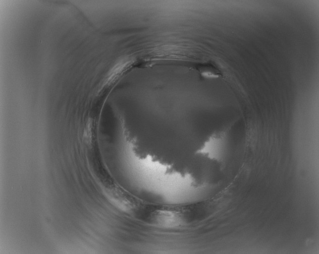 X0000077390167200610272022