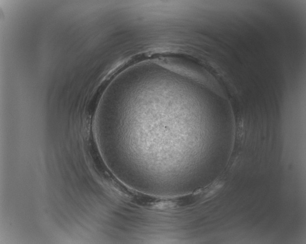 X0000077390168200610272022