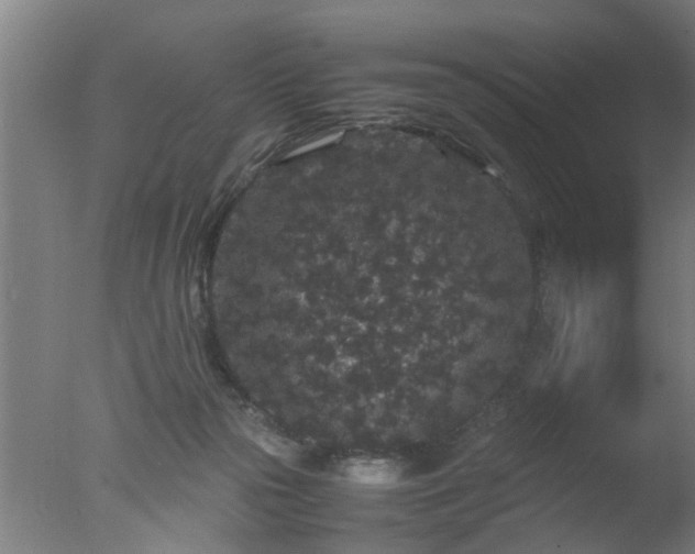 X0000077390169200610272022