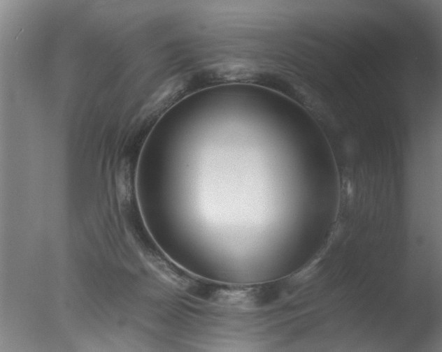 X0000077390170200610272022