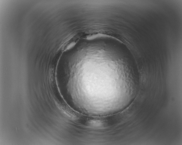 X0000077390171200610272022