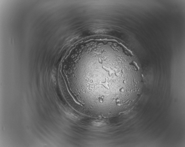 X0000077390175200610272022