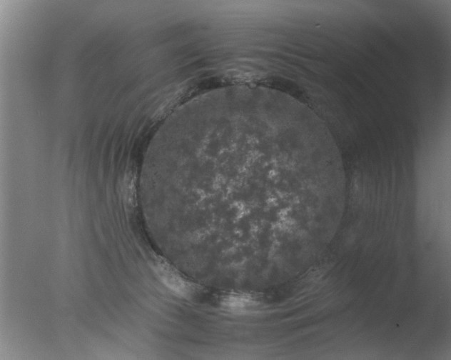 X0000077390177200610272022