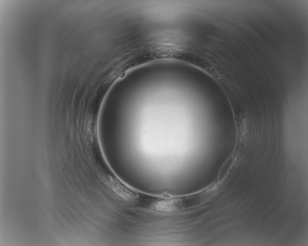 X0000077390178200610272022