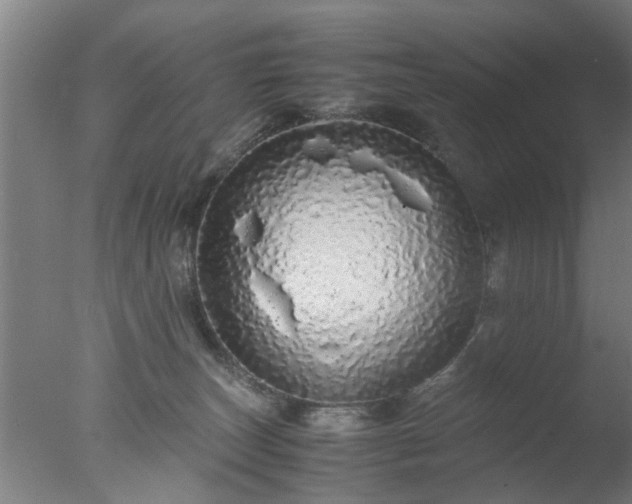 X0000077390179200610272022