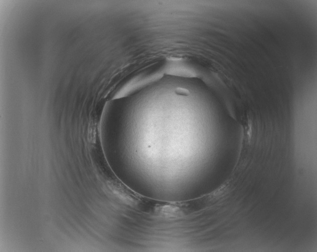 X0000077390180200610272022