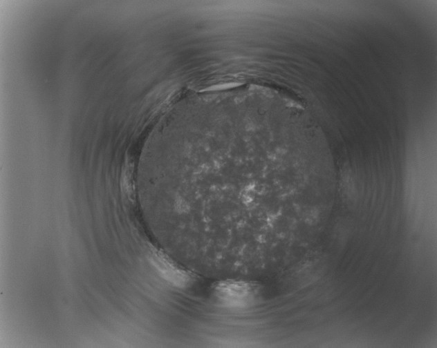 X0000077390181200610272022