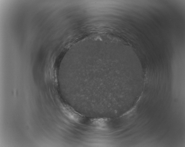 X0000077390182200610272022