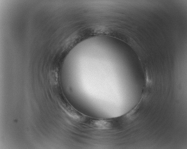 X0000077390183200610272022