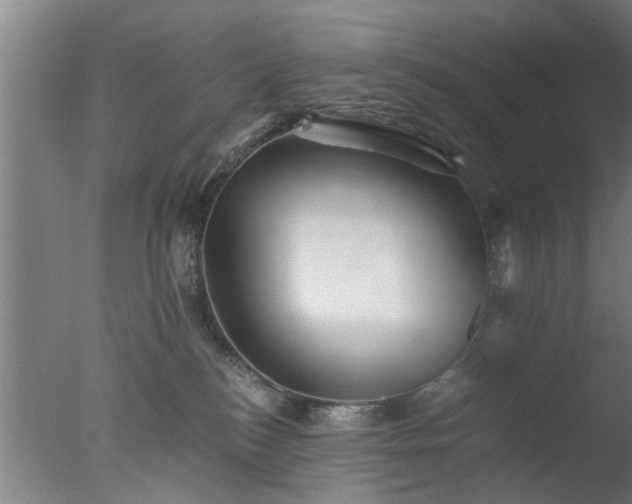 X0000077390184200610272022