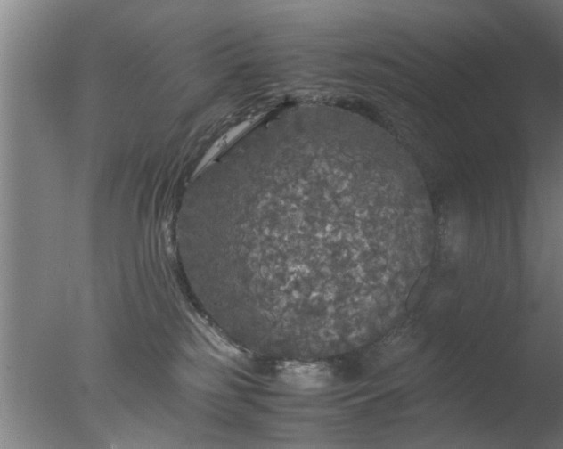 X0000077390185200610272022