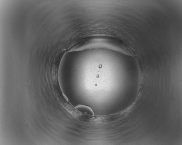 X0000077390186200610272022