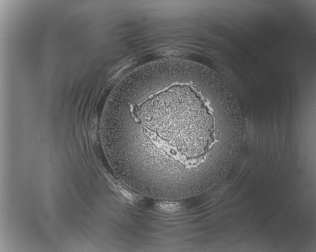 X0000077390189200610272022