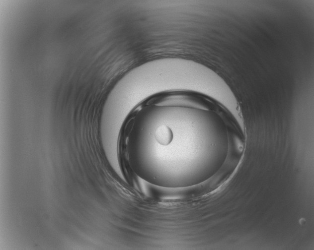 X0000077390190200610272022