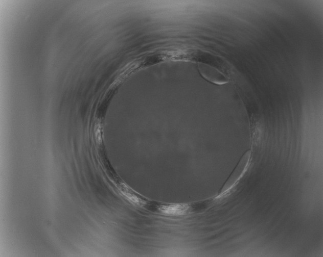 X0000077390191200610272022