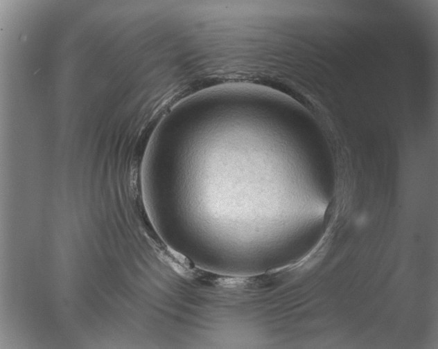 X0000077390192200610272022