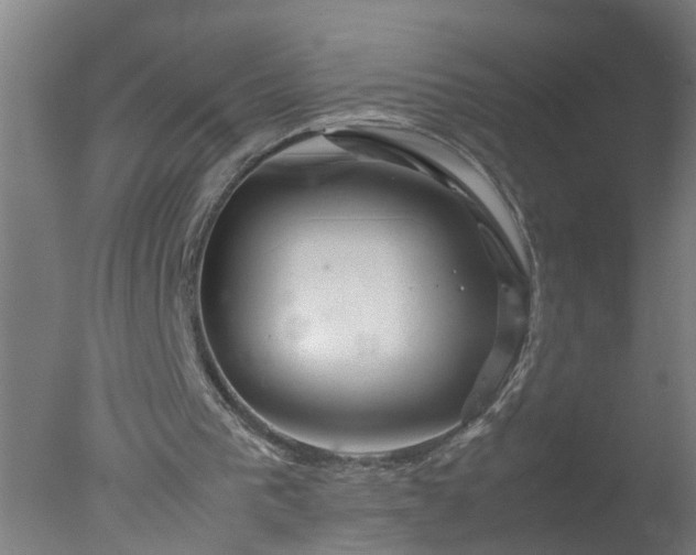 X0000077390193200610272021