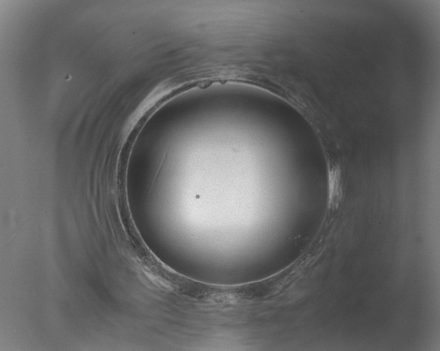 X0000077390195200610272021